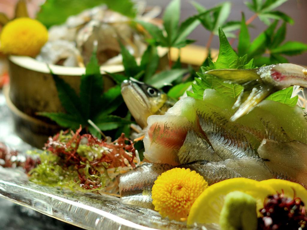 Hitoyoshi Ryokan Luaran gambar